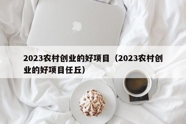 2023农村创业的好项目（2023农村创业的好项目任丘）