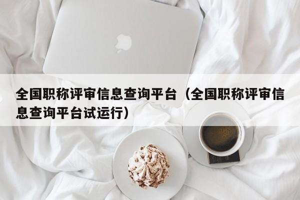 全国职称评审信息查询平台（全国职称评审信息查询平台试运行）