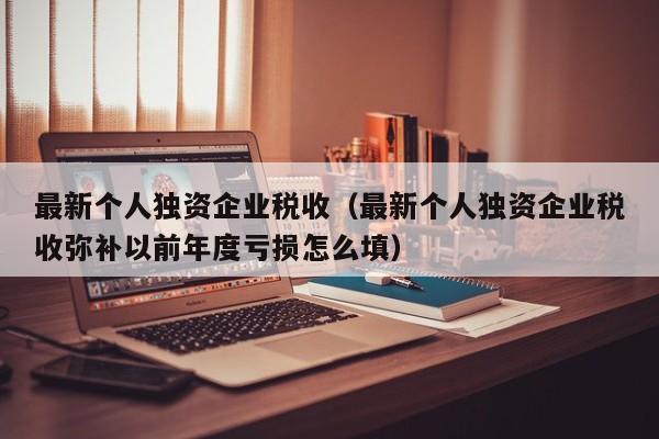 最新个人独资企业税收（最新个人独资企业税收弥补以前年度亏损怎么填）