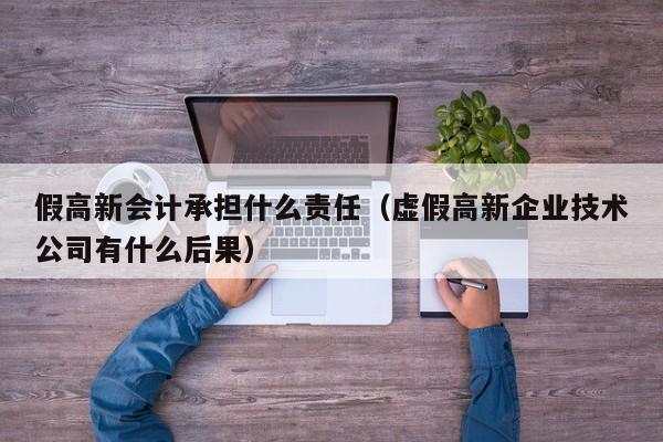 假高新会计承担什么责任（虚假高新企业技术公司有什么后果）