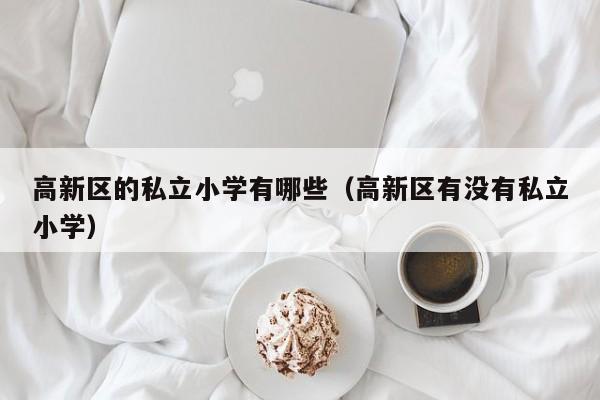 高新区的私立小学有哪些（高新区有没有私立小学）