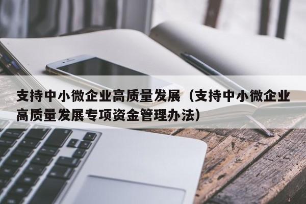 支持中小微企业高质量发展（支持中小微企业高质量发展专项资金管理办法）