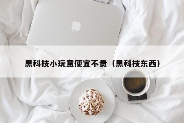 黑科技小玩意便宜不贵（黑科技东西）