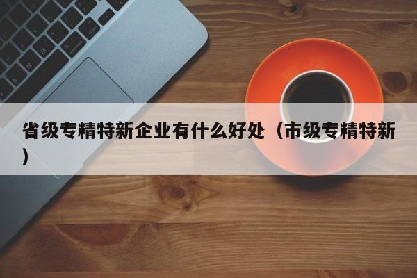 省级专精特新企业有什么好处（市级专精特新）