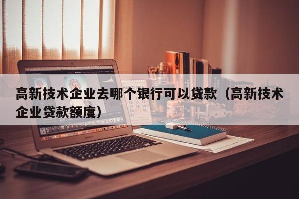 高新技术企业去哪个银行可以贷款（高新技术企业贷款额度）