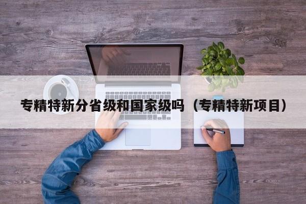 专精特新分省级和国家级吗（专精特新项目）