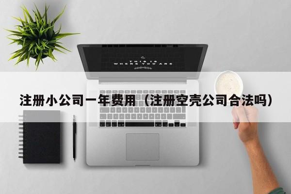 注册小公司一年费用（注册空壳公司合法吗）