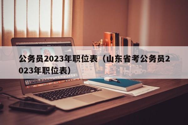 公务员2023年职位表（山东省考公务员2023年职位表）
