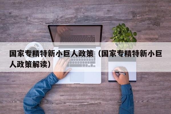 国家专精特新小巨人政策（国家专精特新小巨人政策解读）