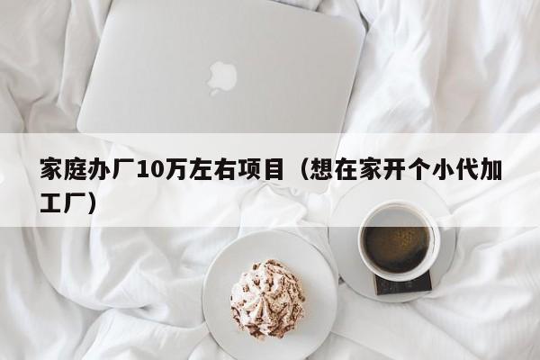 家庭办厂10万左右项目（想在家开个小代加工厂）