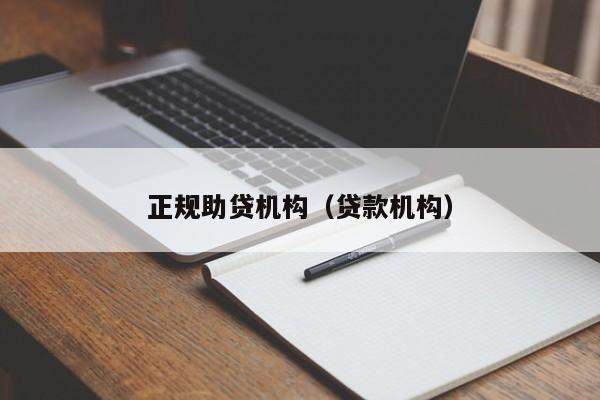 正规助贷机构（贷款机构）