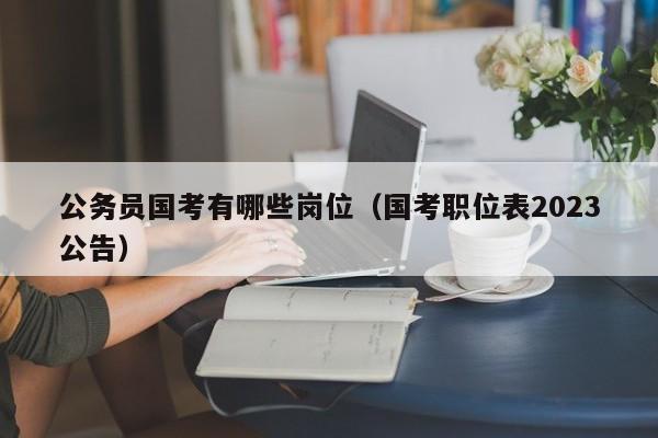 公务员国考有哪些岗位（国考职位表2023公告）
