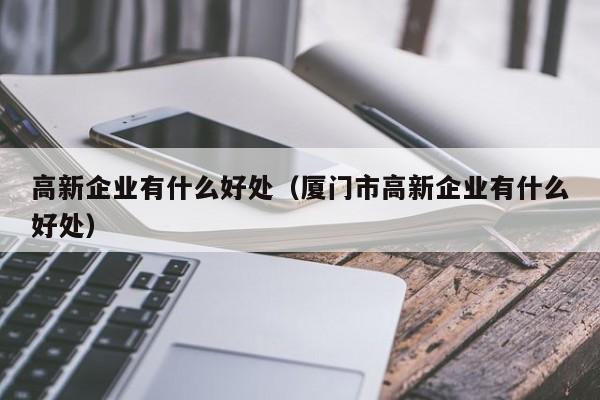 高新企业有什么好处（厦门市高新企业有什么好处）
